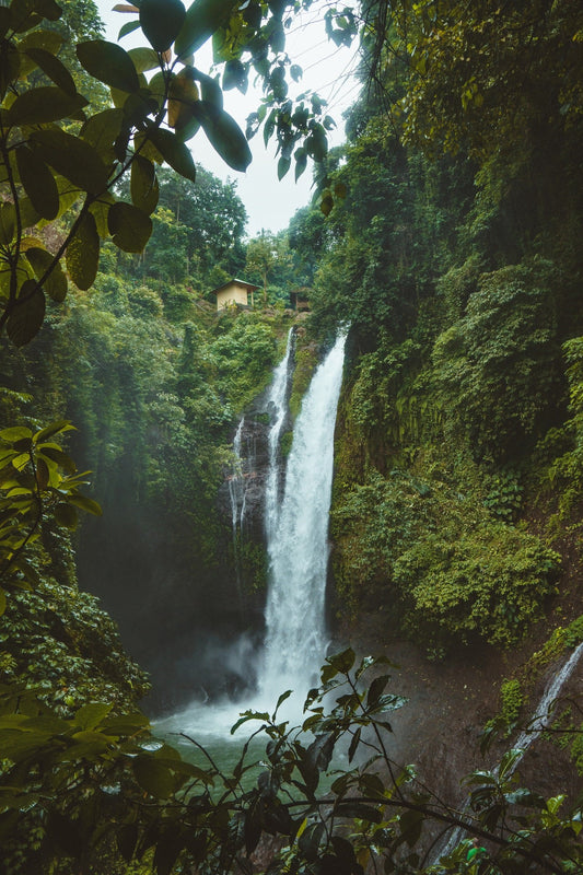 Amazon Tropical Rain -Signature Scent